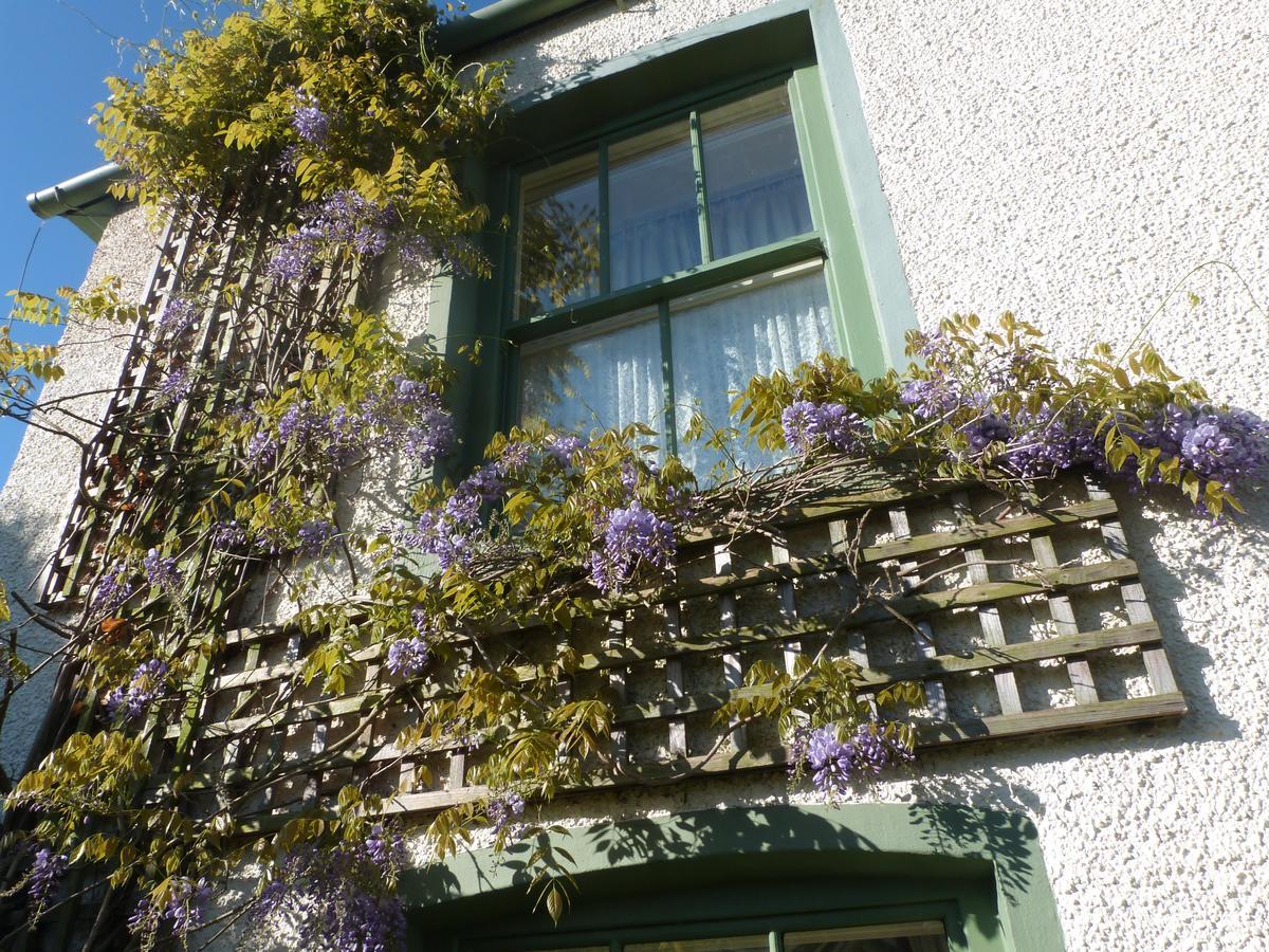Pomona Bed & Breakfast Lowick Green Екстериор снимка
